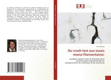 Du crash-test aux essais mono-filamentaires: kitap kapağı
