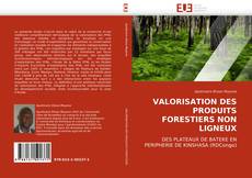 VALORISATION DES PRODUITS FORESTIERS NON LIGNEUX的封面
