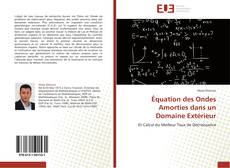 Équation des Ondes Amorties dans un Domaine Extérieur的封面
