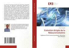 Bookcover of Évolution dirigée de la Néocarzinostatine