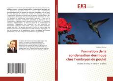 Bookcover of Formation de la condensation dermique chez l’embryon de poulet