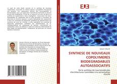 Buchcover von SYNTHESE DE NOUVEAUX COPOLYMERES BIODEGRADABLES AUTOASSOCIATIFS