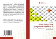Réseaux sociaux et géographie économique kitap kapağı