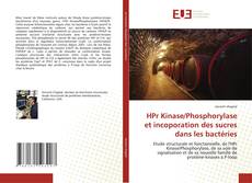 Buchcover von HPr Kinase/Phosphorylase et incoporation des sucres dans les bactéries
