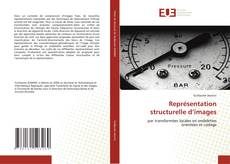 Buchcover von Représentation structurelle d’images