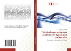Buchcover von Théorie des perturbations canonique et dynamique moléculaire