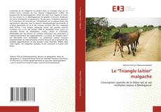 Buchcover von Le "Triangle laitier" malgache