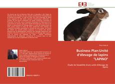 Portada del libro de Business Plan:Unité d’élevage de lapins "LAPINO"