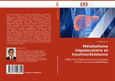 Buchcover von Métabolisme hépatocytaire et insulinorésistance