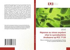 Couverture de Réponse au stress oxydant chez la cyanobactérie Anabaena sp PCC 7120