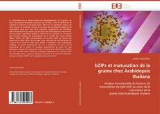 bZIPs et maturation de la graine chez Arabidopsis thaliana的封面