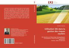 Buchcover von Utilisation SIG dans la gestion des risques routiers