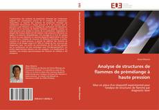 Capa do livro de Analyse de structures de flammes de prémélange à haute pression 