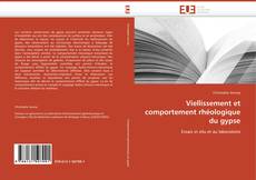 Bookcover of Viellissement et comportement rhéologique du gypse