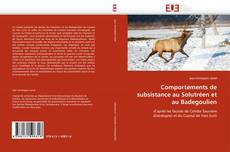Comportements de subsistance au Solutréen et au Badegoulien kitap kapağı