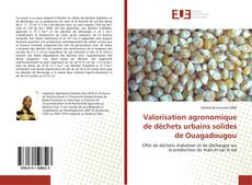 Buchcover von Valorisation agronomique de déchets urbains solides de Ouagadougou