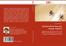 Bookcover of Pointe-à-Pitre face aux risques majeurs