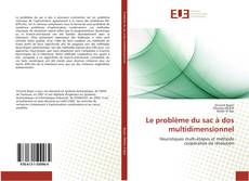 Bookcover of Le problème du sac à dos multidimensionnel