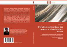 Portada del libro de Evolution sedimentaire des canyons et chenaux sous-marins