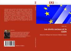 Capa do livro de Les droits sociaux et la CEDH 