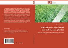 Buchcover von Transfert du cadmium de sols pollués aux plantes