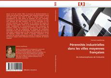 Capa do livro de Pérennités industrielles dans les villes moyennes françaises 