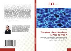 Couverture de Structure - Fonction d'une ATPase de type P