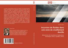 Couverture de Incursion de fluides dans une zone de cisaillement ductile