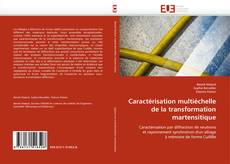 Bookcover of Caractérisation multiéchelle de la transformation martensitique