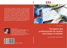 Bookcover of Perception des professionnels du secteur touristique et hôtelier