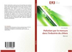 Bookcover of Pollution par le mercure dans l'industrie du chlore
