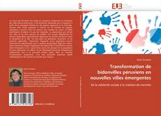 Buchcover von Transformation de bidonvilles péruviens en nouvelles villes émergentes