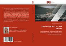 Vague d''experts en Mer d''Iroise kitap kapağı