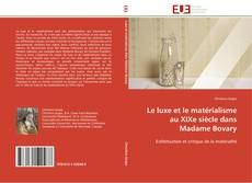 Buchcover von Le luxe et le matérialisme au XIXe siècle dans Madame Bovary