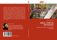 Buchcover von BRÉSIL: TERRE DE MÉTISSAGES