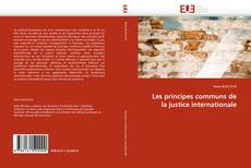 Les principes communs de la justice internationale的封面