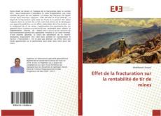 Capa do livro de Effet de la fracturation sur la rentabilité de tir de mines 