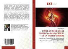 Обложка ÉTUDE DU GÈNE GATA2 DURANT LA NEUROGENESE DE LA MOELLE ÉPINIÈRE