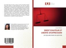 Copertina di DROIT D'AUTEUR ET LIBERTE D'EXPRESSION