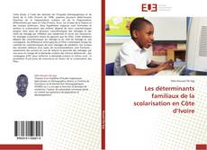Les déterminants familiaux de la scolarisation en Côte d’Ivoire kitap kapağı