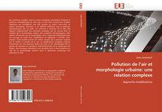 Pollution de l’air et morphologie urbaine: une relation complexe的封面