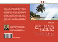 Gestion sociale de l’eau: Cas des oasis de Mareth (Sud-est Tunisien) kitap kapağı