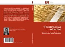 Bookcover of Morphodynamique sédimentaire