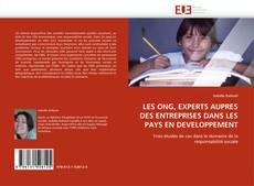 LES ONG, EXPERTS AUPRES DES ENTREPRISES DANS LES PAYS EN DEVELOPPEMENT的封面