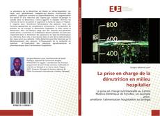 La prise en charge de la dénutrition en milieu hospitalier的封面