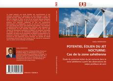 POTENTIEL ÉOLIEN DU JET NOCTURNE: Cas de la zone sahélienne的封面