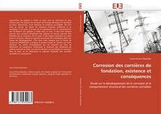 Buchcover von Corrosion des cornières de fondation, existence et conséquences