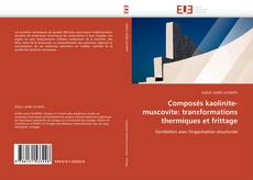 Composés kaolinite-muscovite: transformations thermiques et frittage kitap kapağı