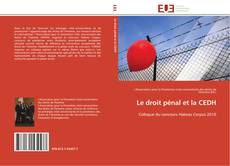 Bookcover of Le droit pénal et la CEDH