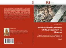 Buchcover von Les clés de l''Arène Remesas et Développement au Mexique